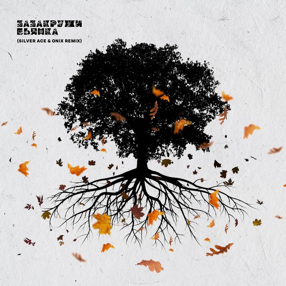 Бьянка - ЗАзакружи (Silver Ace x Onix Remix)