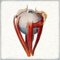 Hichkas - Gerye Dare