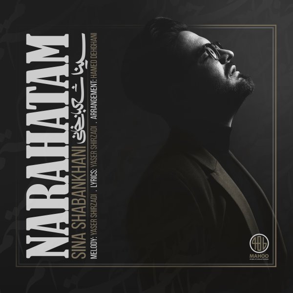 Sina Shabankhani - Narahatam